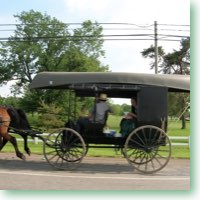 Canoe on Amish Buggy