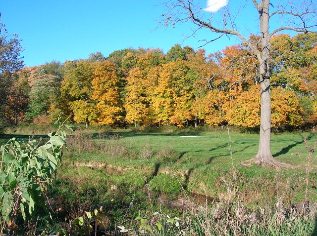 Fall colors in the Amish Country of Holmes County Ohio.