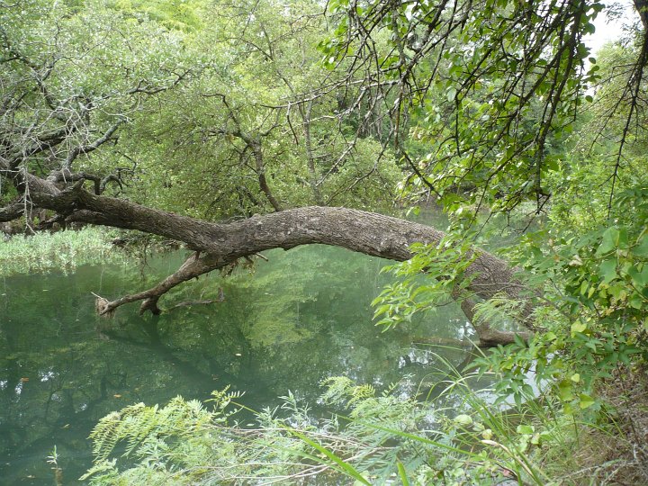 Lost Creek Nature Trail at Fort Richardson State Park and Historic Site leads hikers along a leisurely flow of water providing rich soil for large trees and other bright green vegetation.