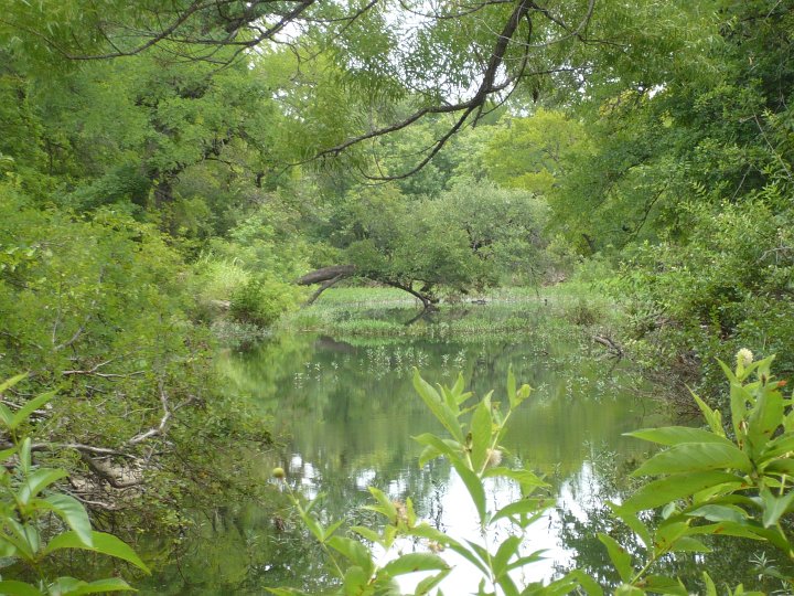 Filtered light along Lost Creek Trail triggers verdant shades too numerous to name or number. Though transparent, even the water sparkles translucently green. Lost Creek runs through Fort Richardson State Park and Historic Site.