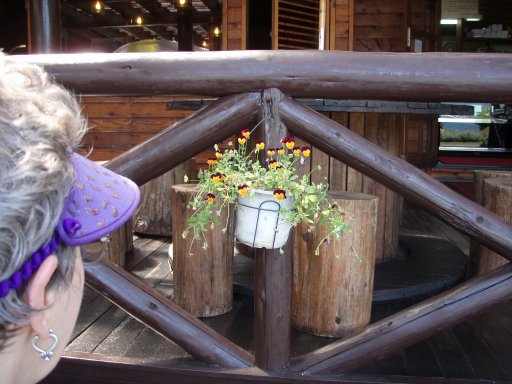Hanging flower pot in Kawaguchiko Japan.