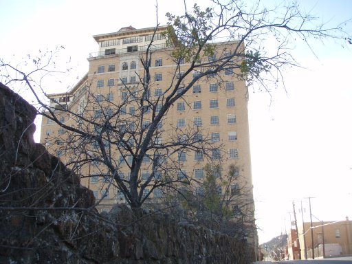 A leafless tree plagued by mistletoe creates another spooky view of the Baker.