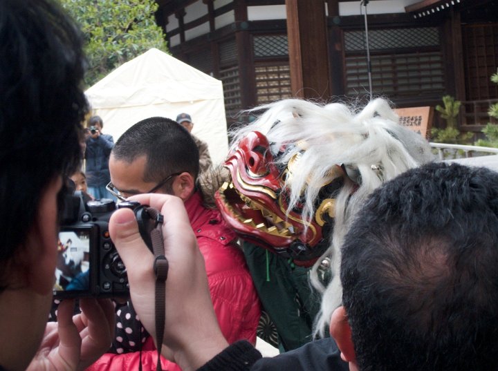 A Japanese Lion, shishi, approaches a man from behind while dancing at Yasukuni Shrine in Tokyo, Japan. According to Shinto belief lion dances drive away evil spirits and bring good luck to those who receive a bite on the head. Shinto is the indigenous religion and belief system of Japan.