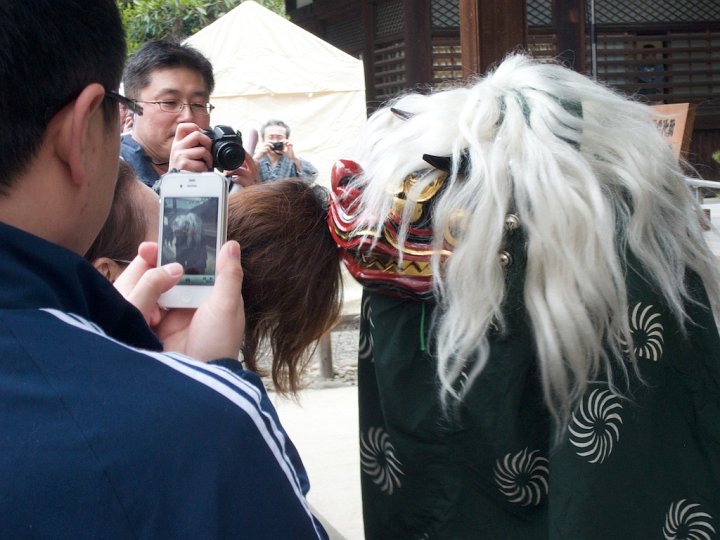A protector lion bites the head of a female visitor to Yasukuni Shrine, Tokyo, Japan. While the lion stalks its prey to the beat of drums, its bite causes no injury. Instead, it brings good luck and happiness to its volunteer victims. This lion dances during celebration days of new beginnings when cherry blossoms color Japan.
