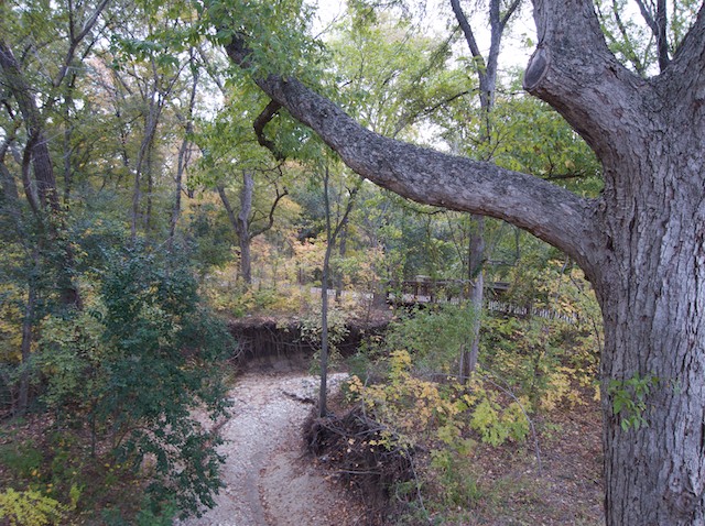 A bridge spans a dry flood gully in the Spring Creek Nature Area in Richardson, Texas.