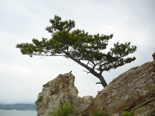 Wakaura Bay, Wakayama City, Japan - 09. The USS Montpelier was anchored here in September 1945 as part of the effort to repatriate English, Dutch, French and US prisoners of war.