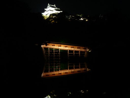 Ohashi Roka with Wakayama Castle. Wakayama Castle in Wakayama, Japan. Though partly destroyed by air raids during July 1945, the castle itself was never a target of the fire bombing. Although we don't know for sure, we believe Buss Kerstetter saw the castle while in Wakayama, Japan, September 1945.