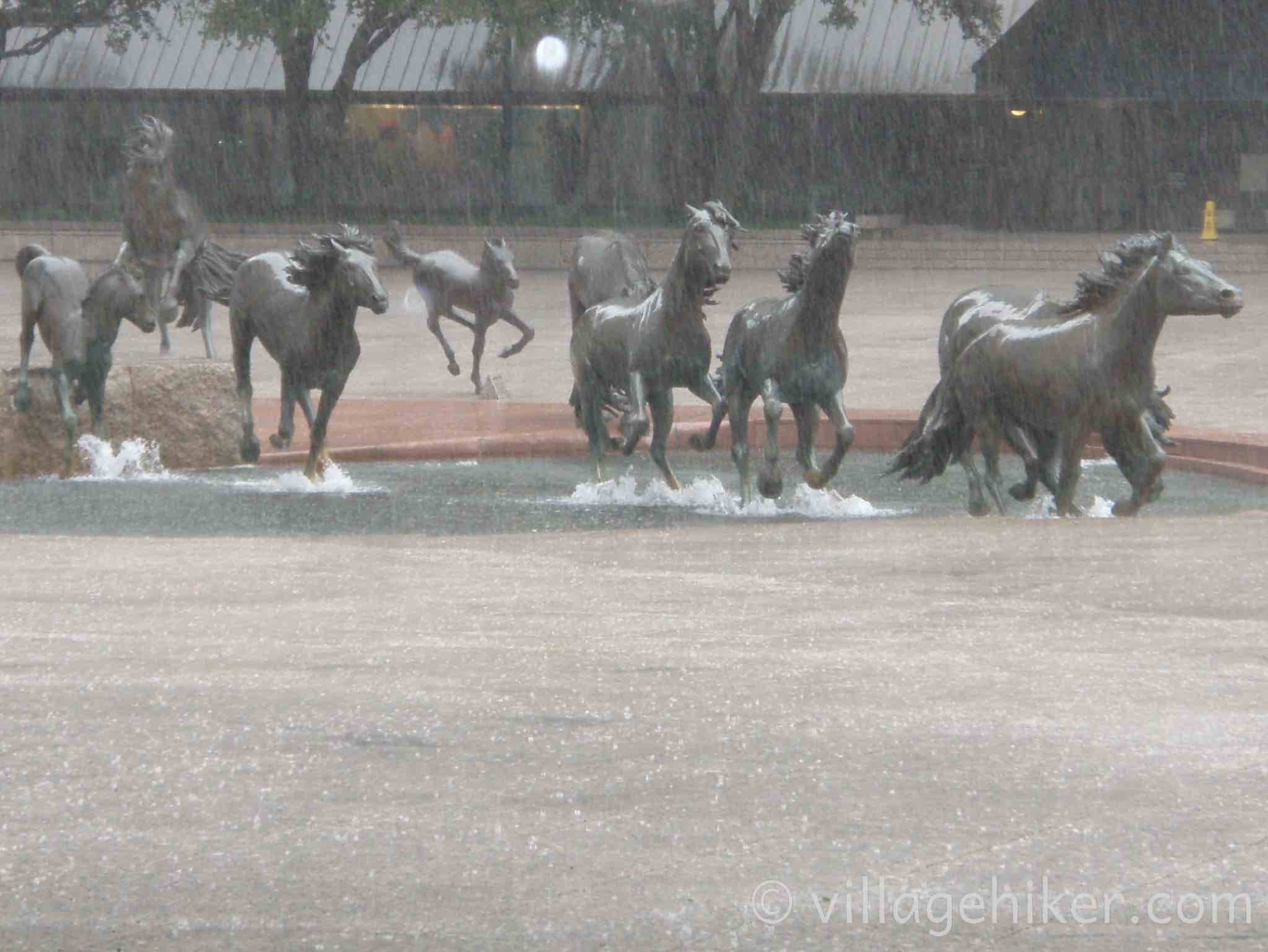 bronze mustangs splash through the fountain in a heavy rain.