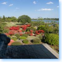 azaleas in kairakuen garden icon