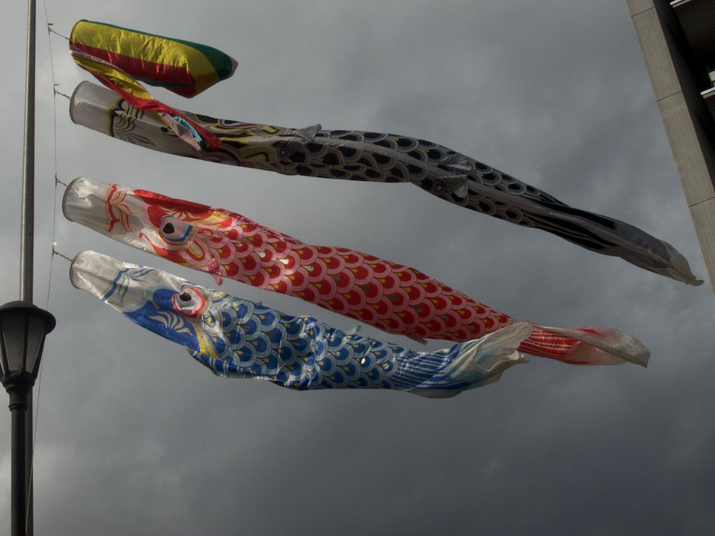 Koinobori - Carp Streamers 