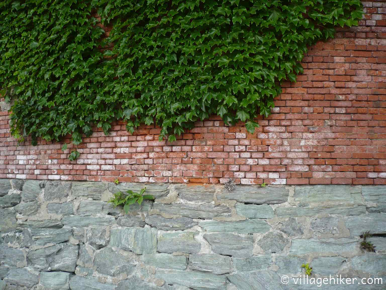 red brick ball sitting on green schist rock, partly covered in ivy.