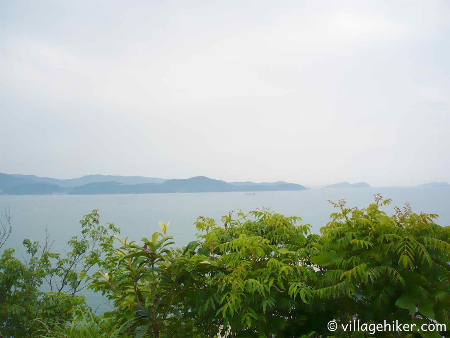 blue wakaura bay with mountains in the distance and greenery in the foreground.