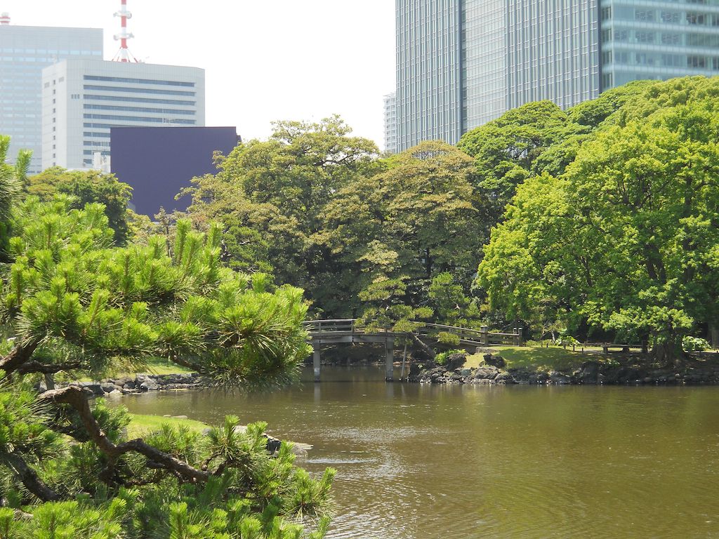 bridge-in-hamarikyu-garden