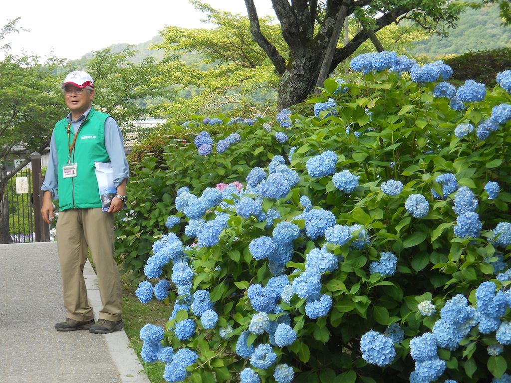 Katsuhiko Fujimoro