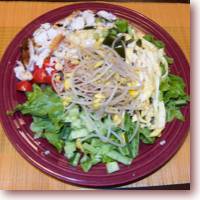 japanese cold noodle salad hiyashi chuka icon