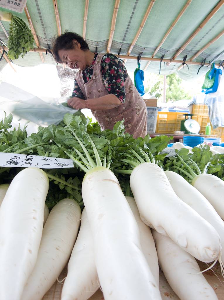 Daikon Vendor at Kochi Sunday Market