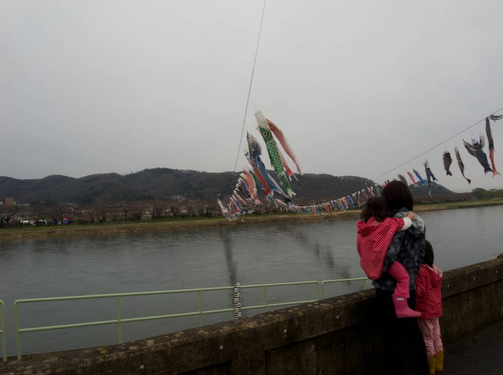 Watching Koinobori in Kitakami City