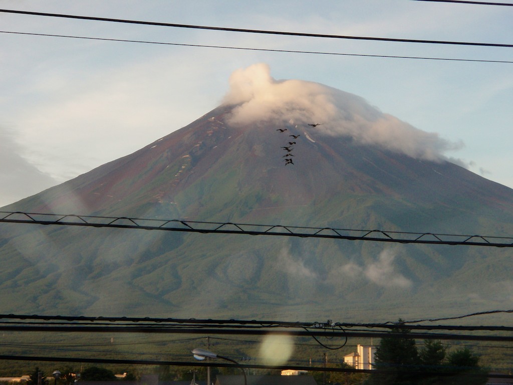 Birds Fly by Mt. Fuji in Wire Frame