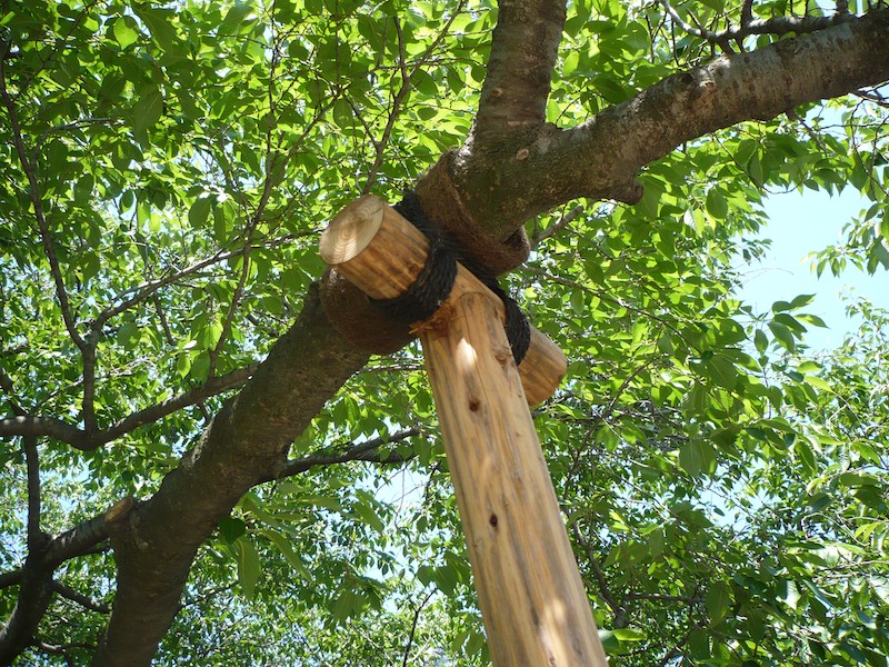 A Tree Crutch at Wakayama Castle