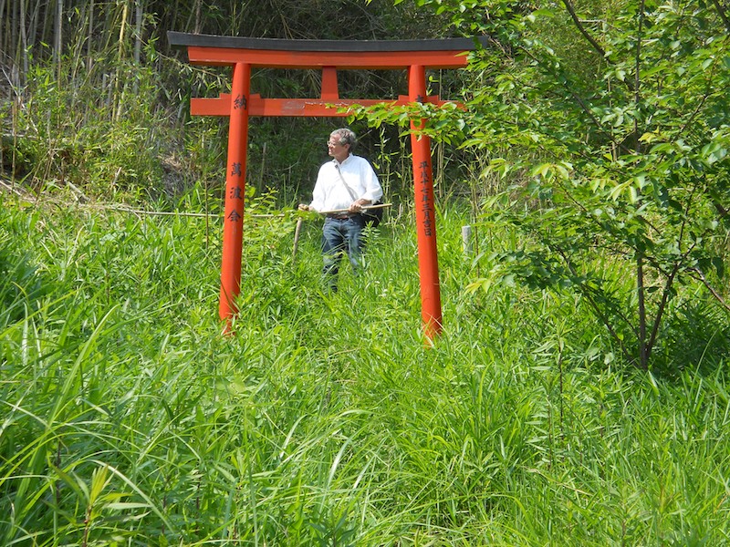 vermilion Torii Rich With Green Surroundings at Takozushiyama Wakaura Inari Shrine