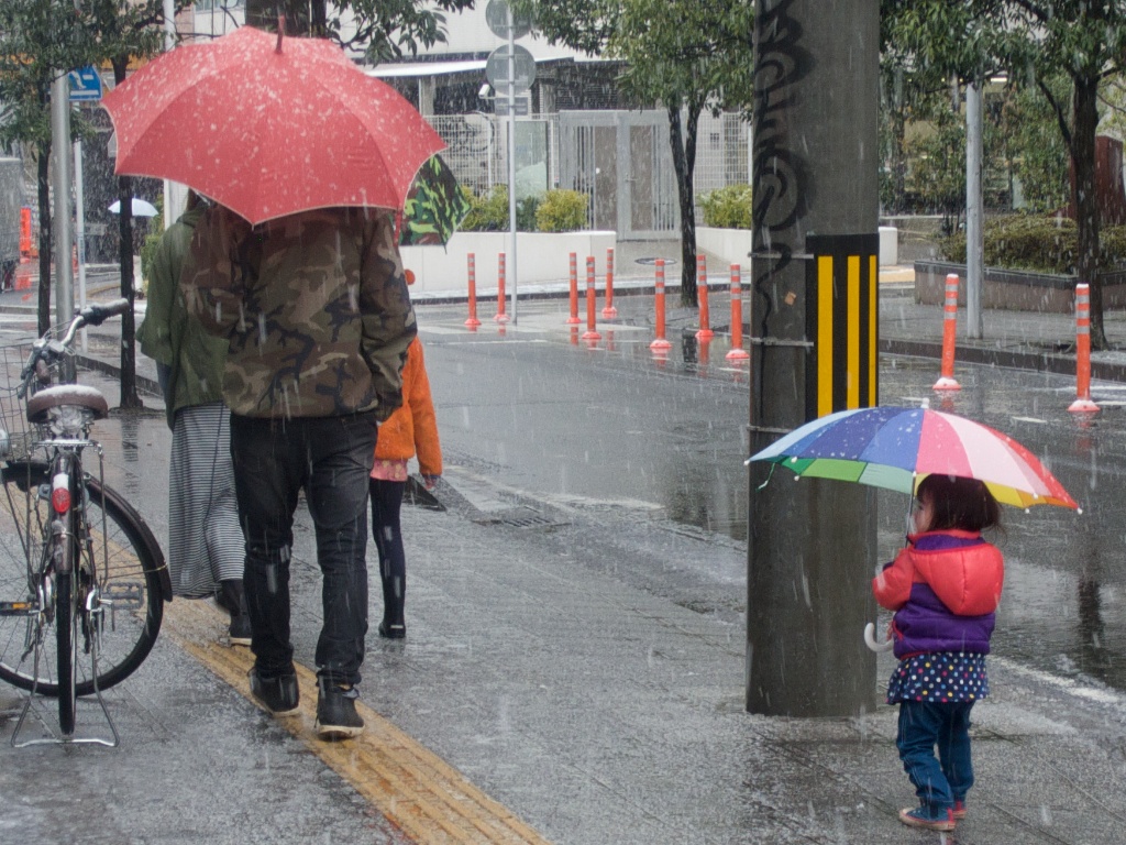 A brightly dressed young girl trails behind her parents as she plays with an umbrella during a spring snow fall in Sendai Japan.