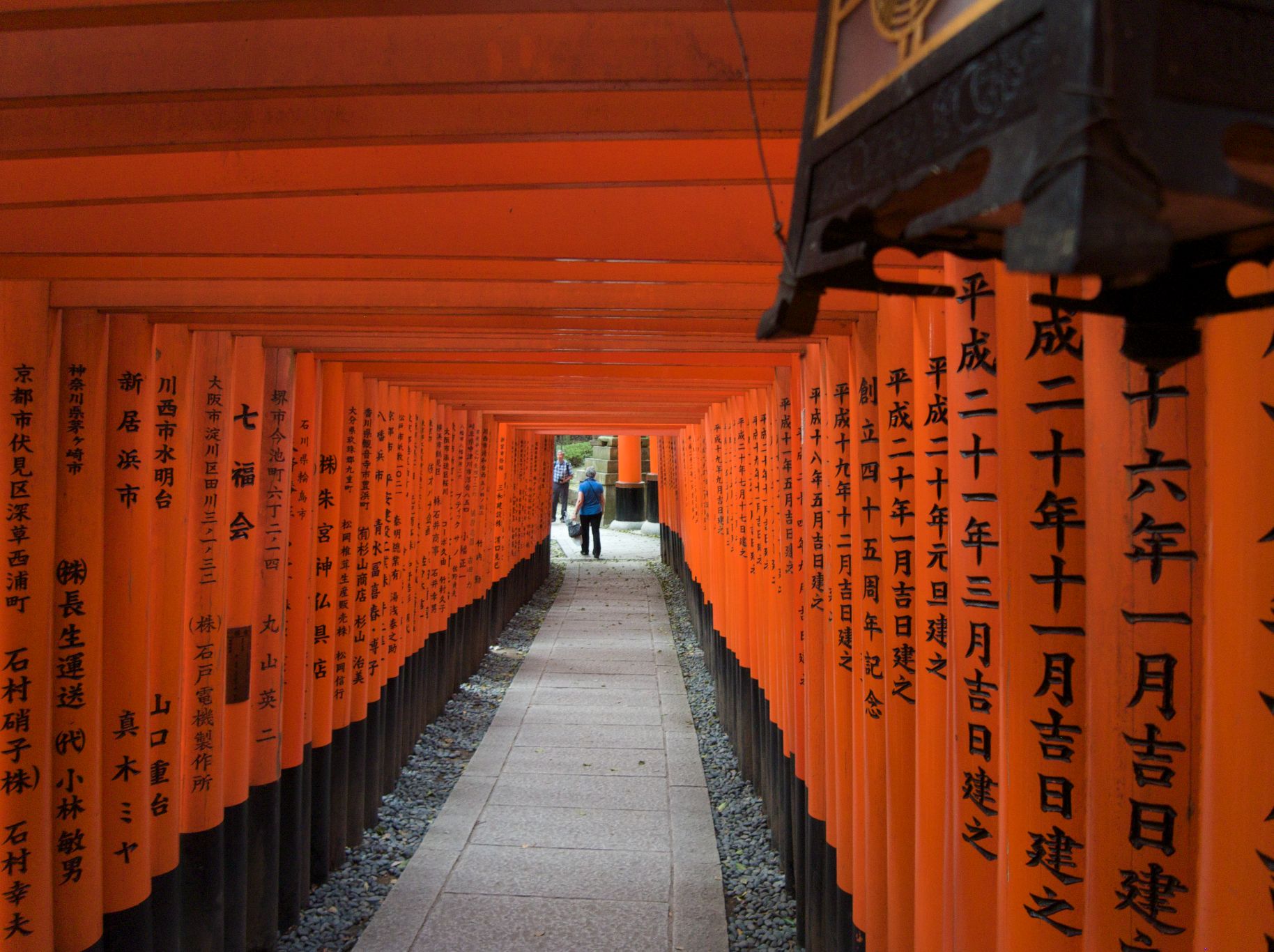 More than 10,000 Vermillion Torii at Fushimi Inari Tashi Shine