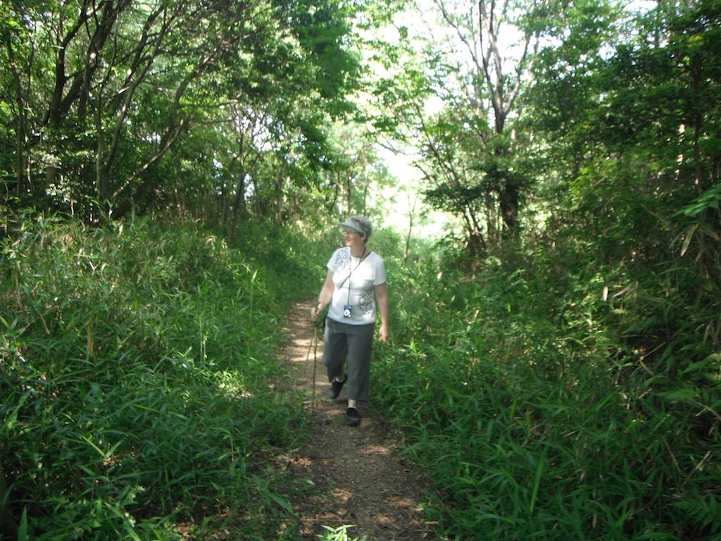 Pilgrimage Trail on Nagusayama