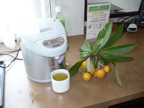 Kumquat still life