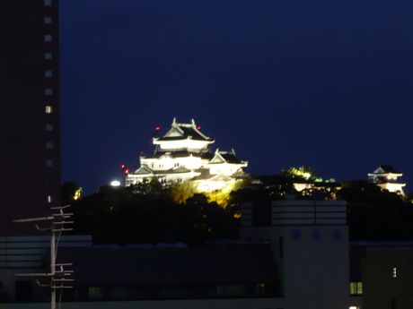 Wakayama Castle from the Vabene patio.