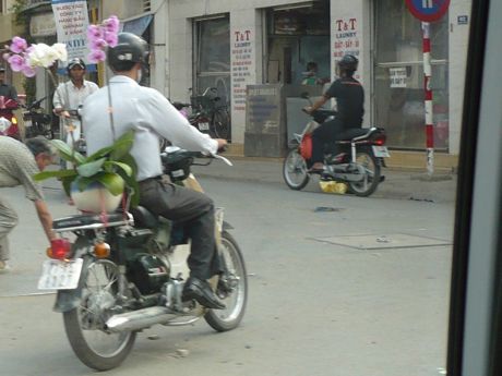 Motorbike carrying orchids in Ho Chi Minh City, Vietnam